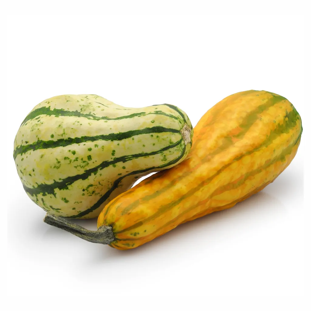 Fantasy Pumpkin ISO 2 Disfruta™.webp