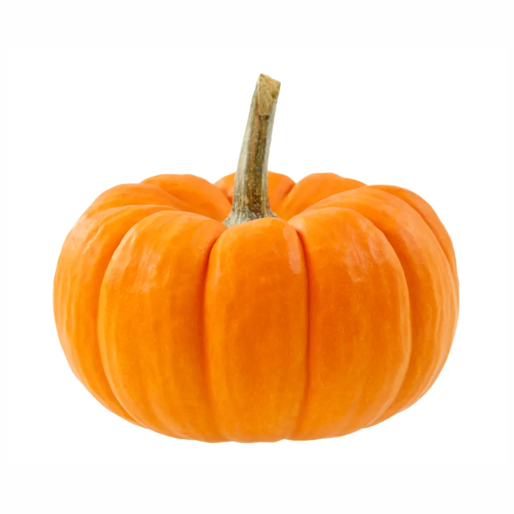Mini Jack Pumkin ISO 1 Disfruta™.webp