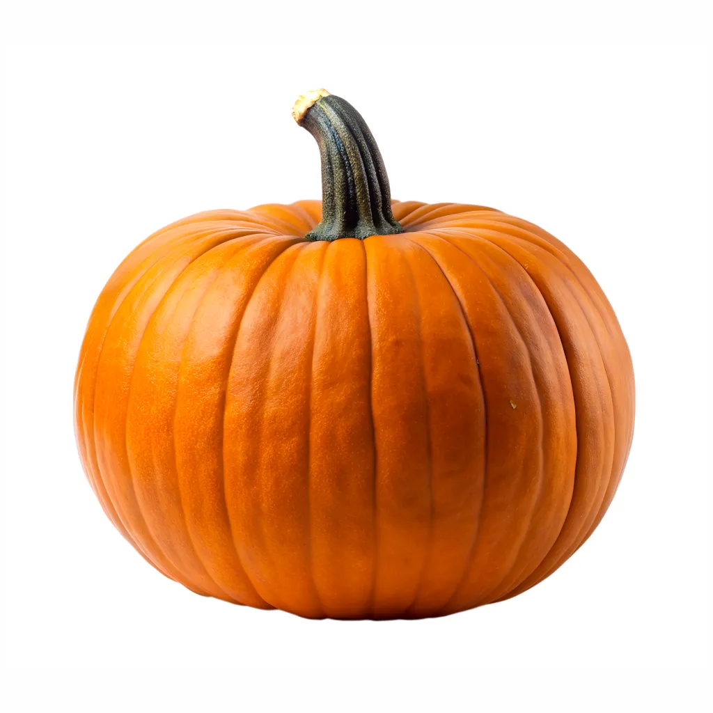 Pumpkin Jack  ISO.webp