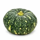 Calabaza India-Kaddu ISO 1-1.webp