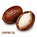 Coquito de Aceite ISO O1 Disfruta™.webp
