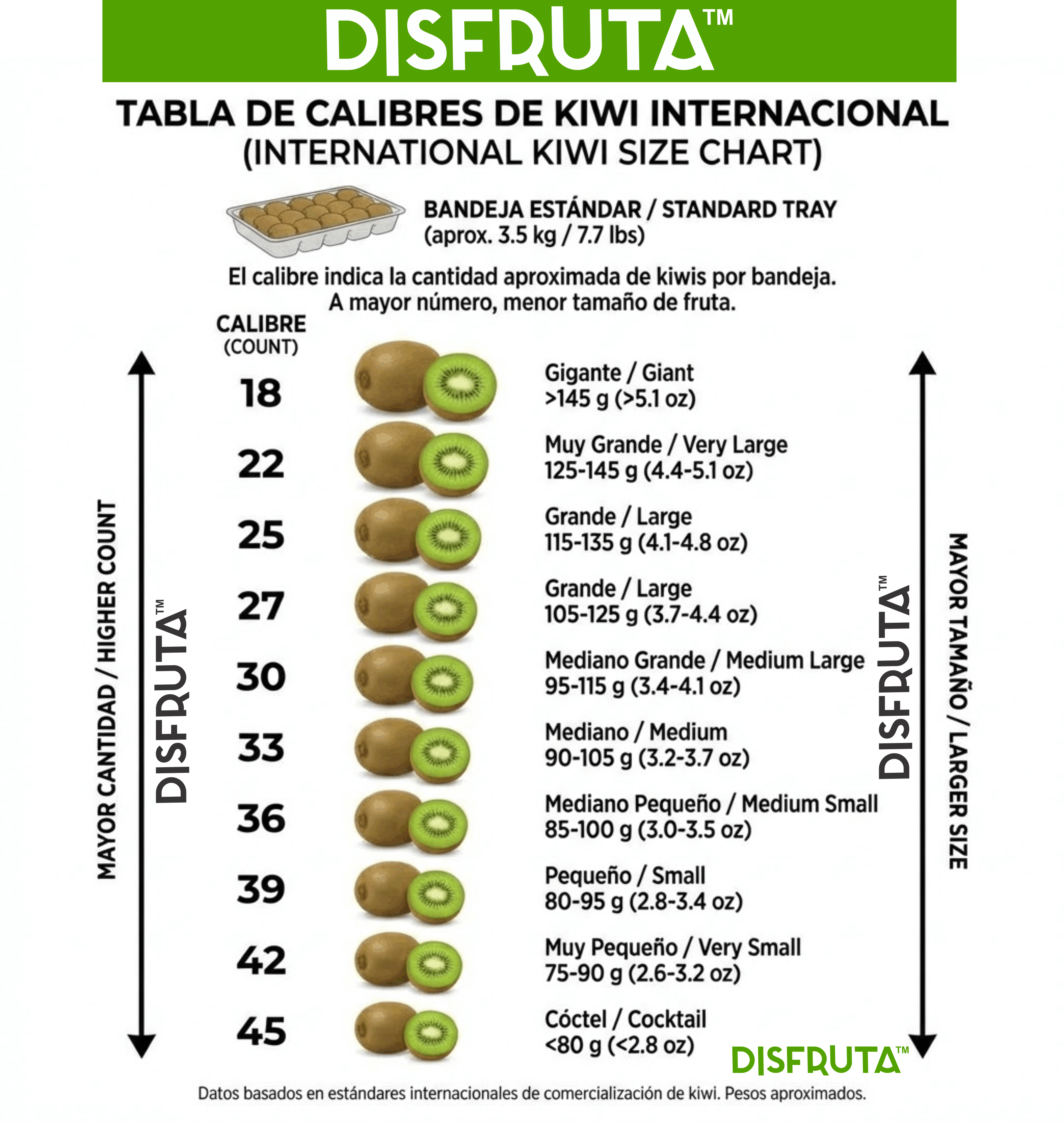 Kiwi Size Chart Disfruta™.gif