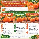 Tango Mandarins Size Chart.webp
