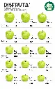 Granny Smith Apple Size Chart Disfruta™.webp