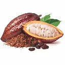 Cacao Fruit & Powder 3.webp