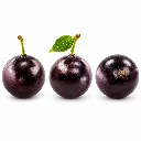 Jaboticaba BLK 2 ISO.webp