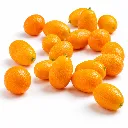 Kumquat Nagami BLK.webp