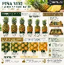 Pineapple Size Chart & Ripeness Guide.webp