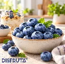 Blueberry Lifestyle Disfruta™.webp