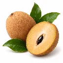 Chicozapote 2 ISO BLK.webp