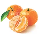 Mandarina 2.webp