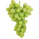 Uva Autumn King GRL.webp