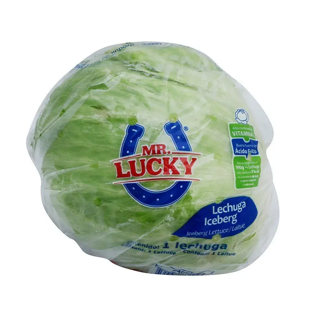 Lechuga Iceberg Mr. Lucky.webp