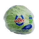 Lechuga Iceberg Mr. Lucky.webp