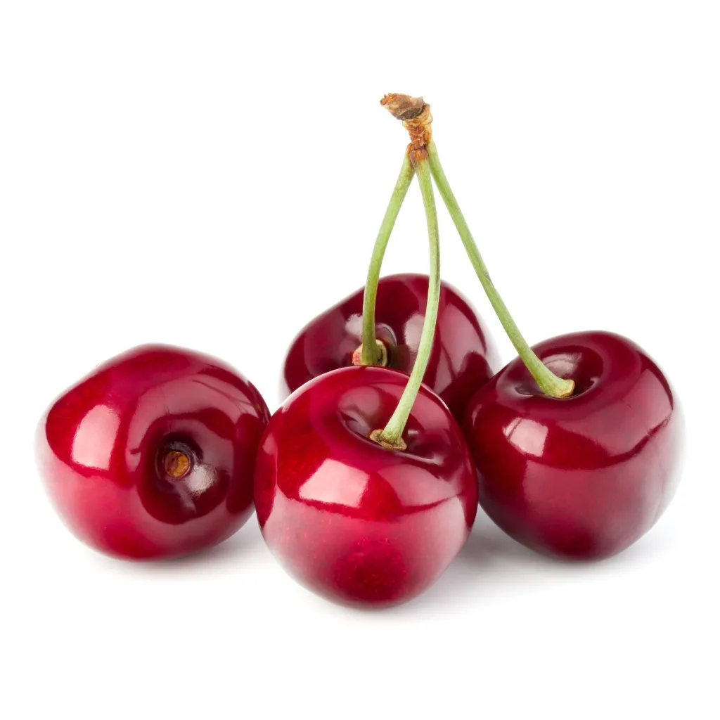 shutterstock_1921576691.webp