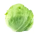 Lechuga Iceberg Mr. Lucky SB.webp