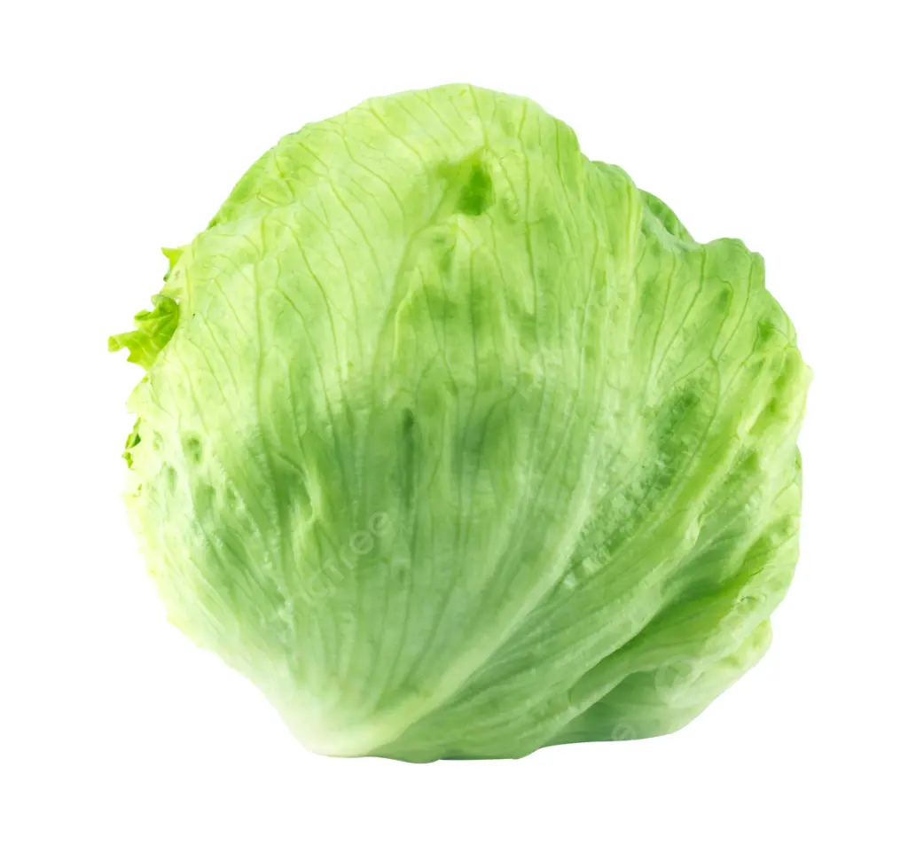 Lechuga Iceberg Mr. Lucky SB.webp