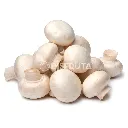 Hongo Champiñón.webp