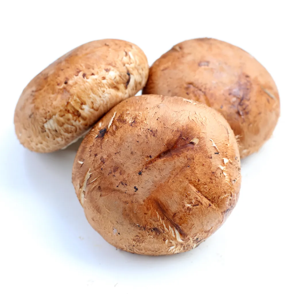 Portobello mushroom 1.webp