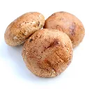 Portobello mushroom 1.webp