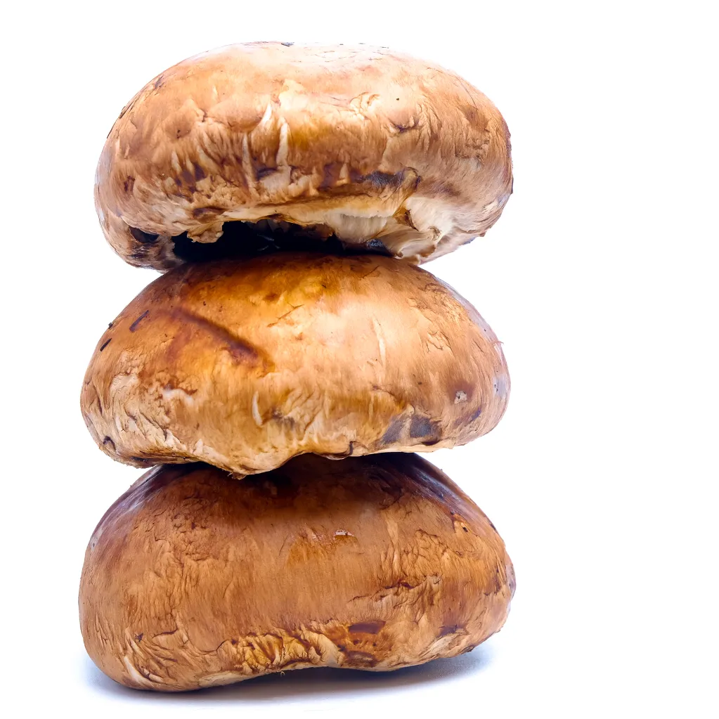 Portobello Mushroom 2.webp