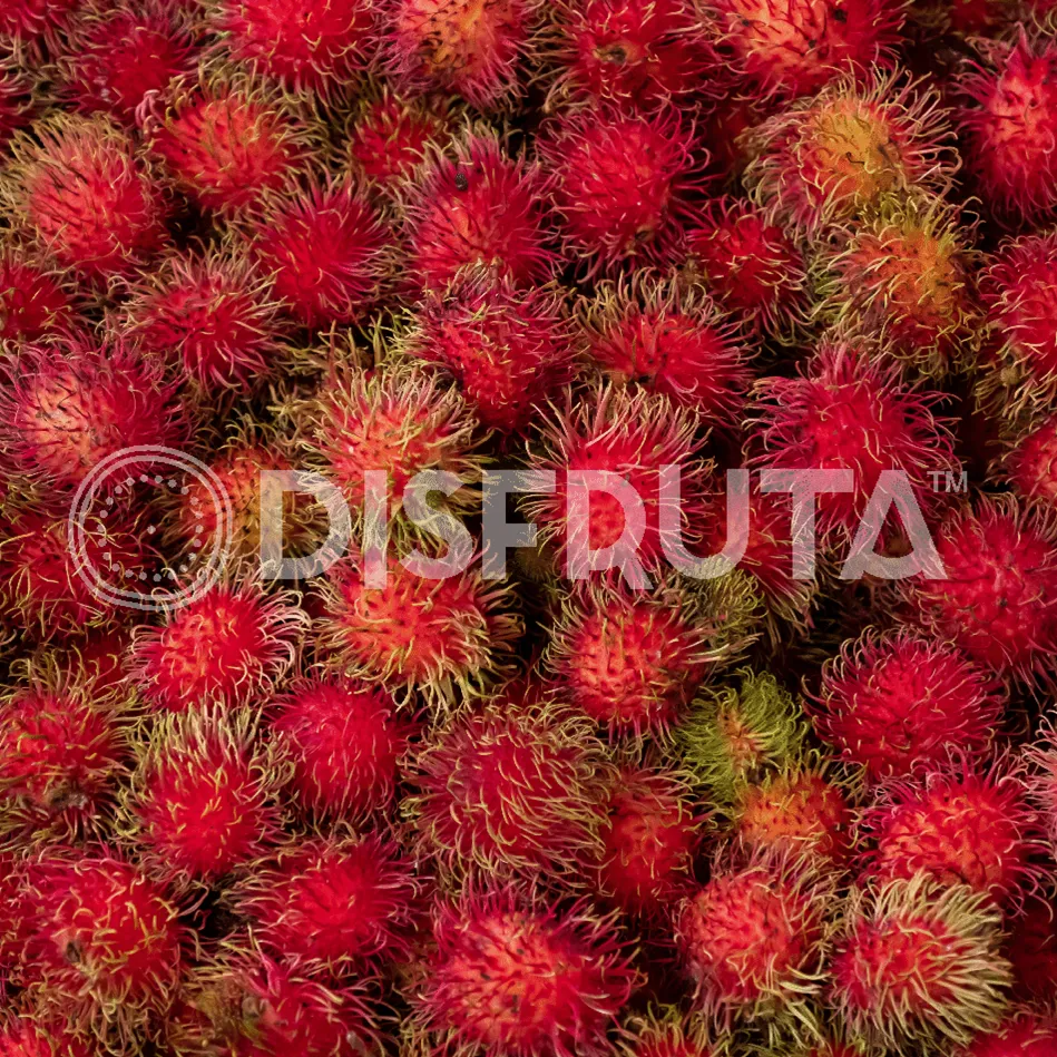 Rambutan GEN.webp