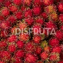 Rambutan GEN.webp