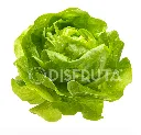 Caja Lechuga Eva® Francesa GRL 1.webp