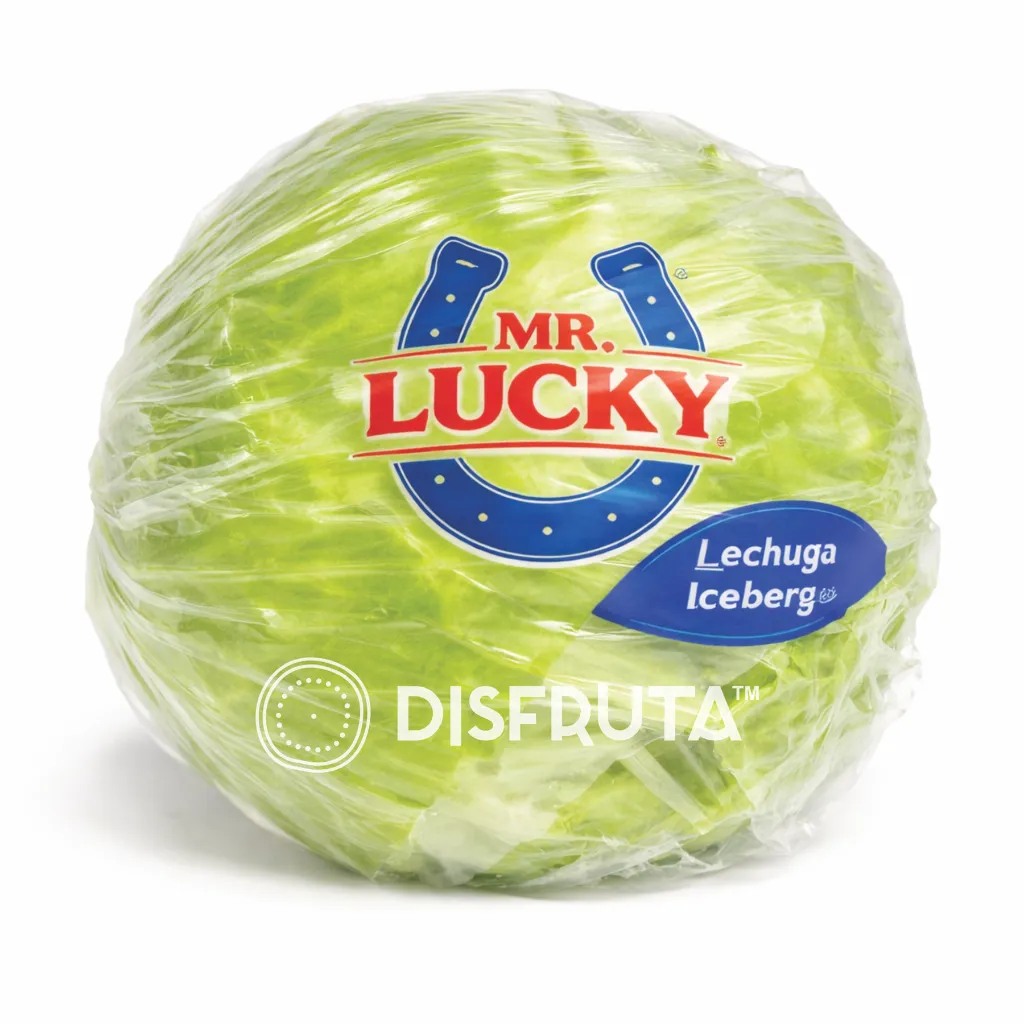 Lechuga Iceberg Mr. Lucky®.webp