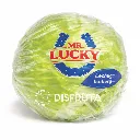 Lechuga Iceberg Mr. Lucky®.webp