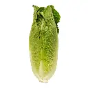 00079663173111L2.webp
