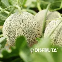 Melón Cantaloupe Disfruta™ 3.webp
