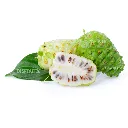 Noni Isolated 2.webp
