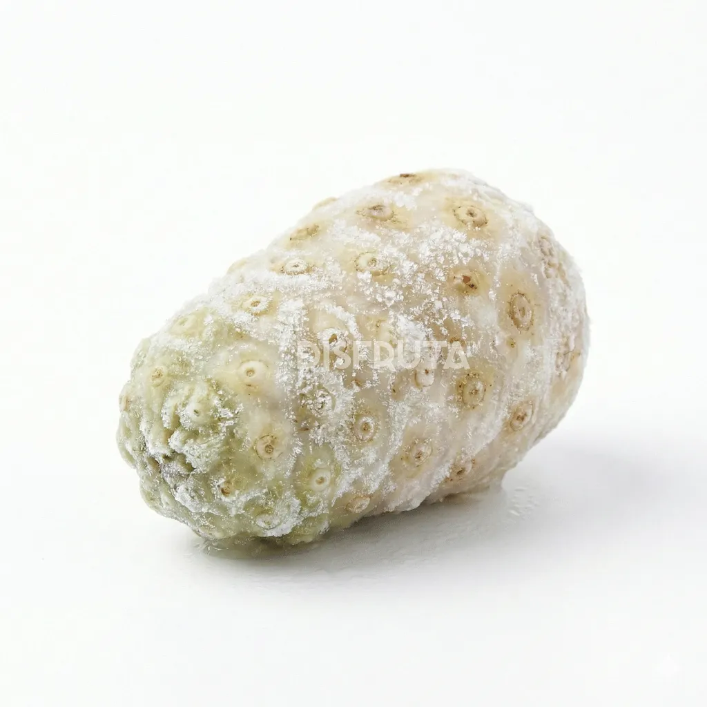 Noni Congelado ISO Disfruta™.webp