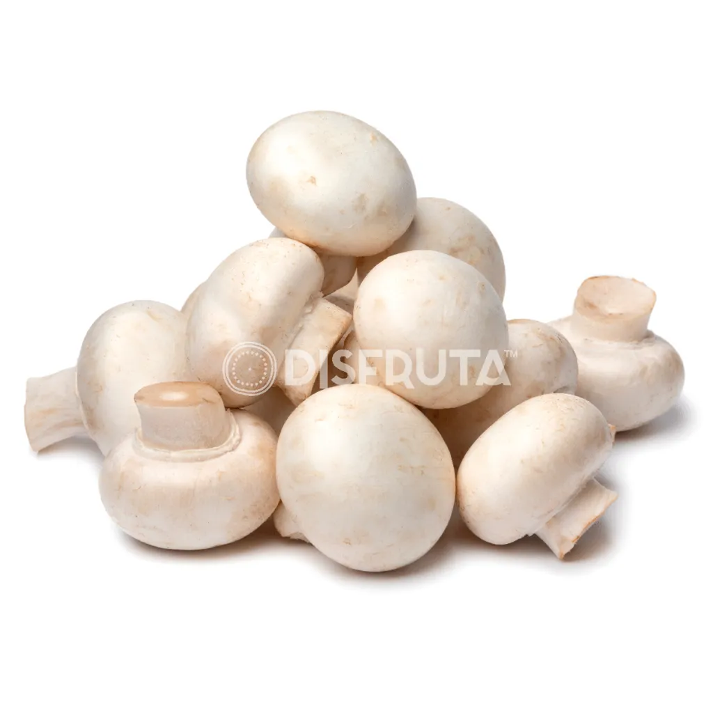 Hongo Champiñón.webp