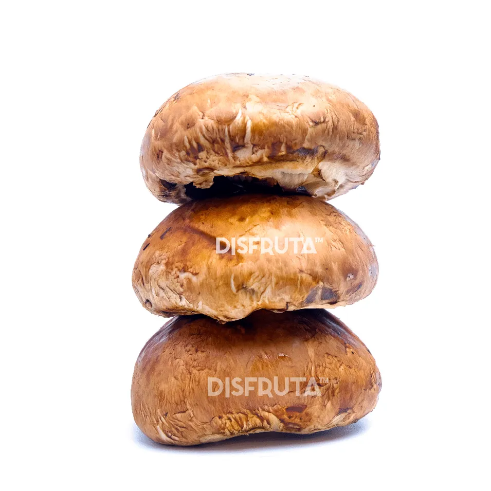 Hongo Portabella Disfruta™ 2.webp