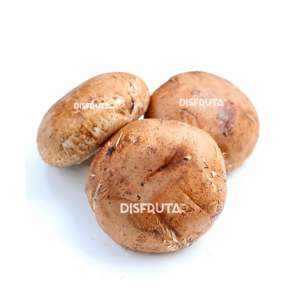 Hongo Portabella Disfruta™ 1.webp