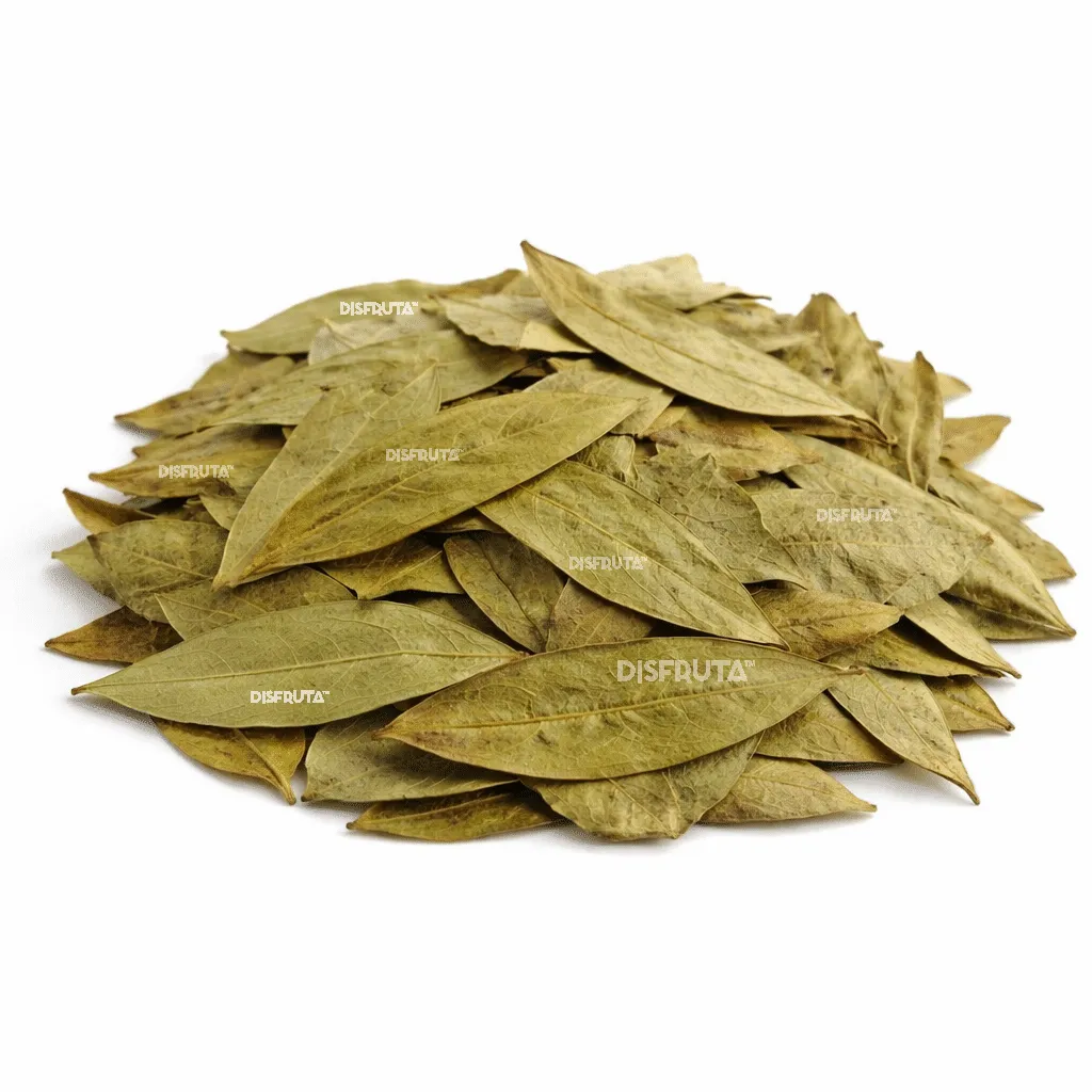 Hoja de Guanábana 2 GRL ISO Disfruta™.webp