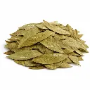 Hoja de Guanábana 2 GRL ISO Disfruta™.webp