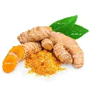 Tumeric Powder Gourmet Fresh & Powder Disfruta™.webp