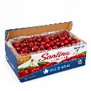 Caja Cereza Roja Viconto® Disfruta™ 2.5KG  2.webp