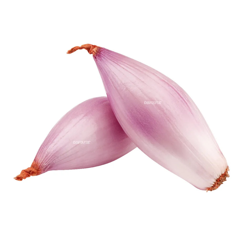 Ajo Shallot  Disfruta™ WB.webp