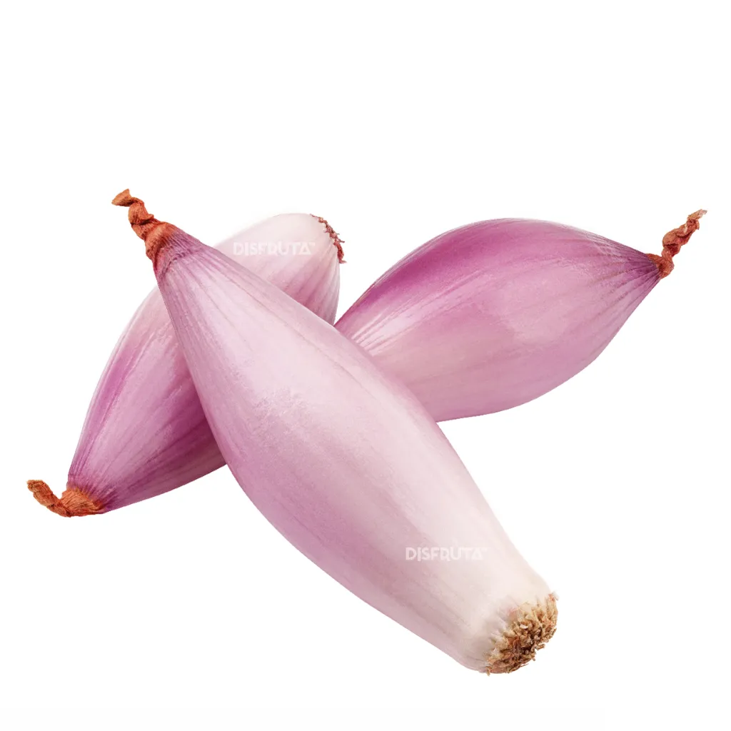Ajo Shallot ISO  Disfruta™ WB.webp