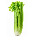 Celery ISO WB.webp