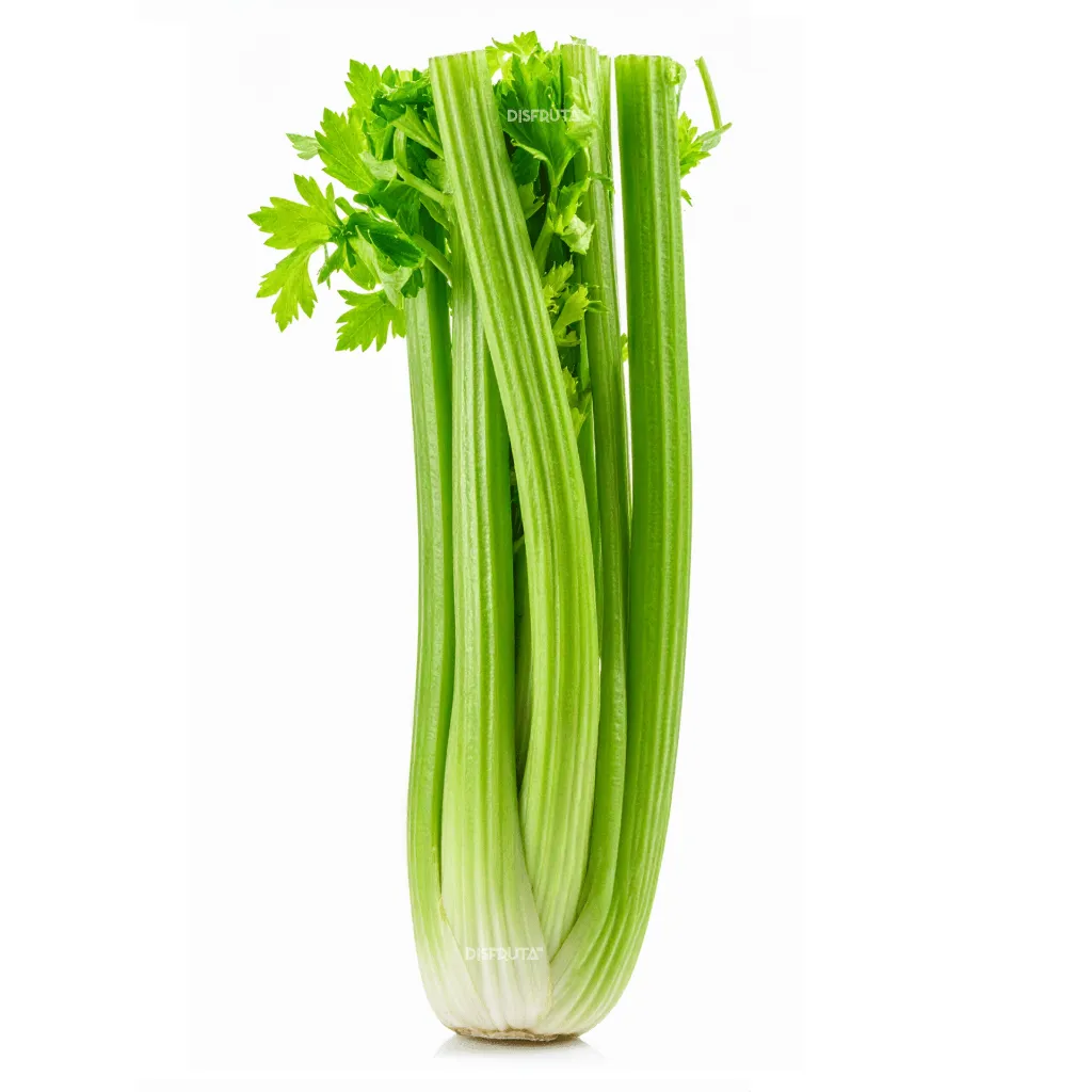 Celery ISO WB.webp