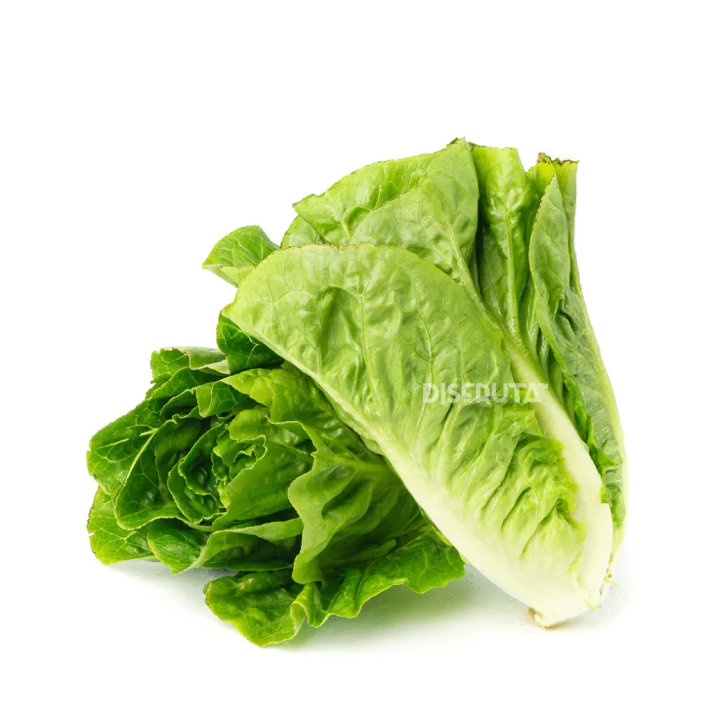 Corazones de Lechuga Disfruta™ ISO 1.webp