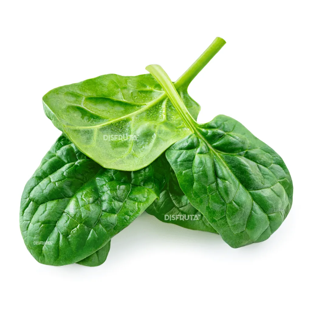 Baby Spinach ISO WB Disfruta™.webp