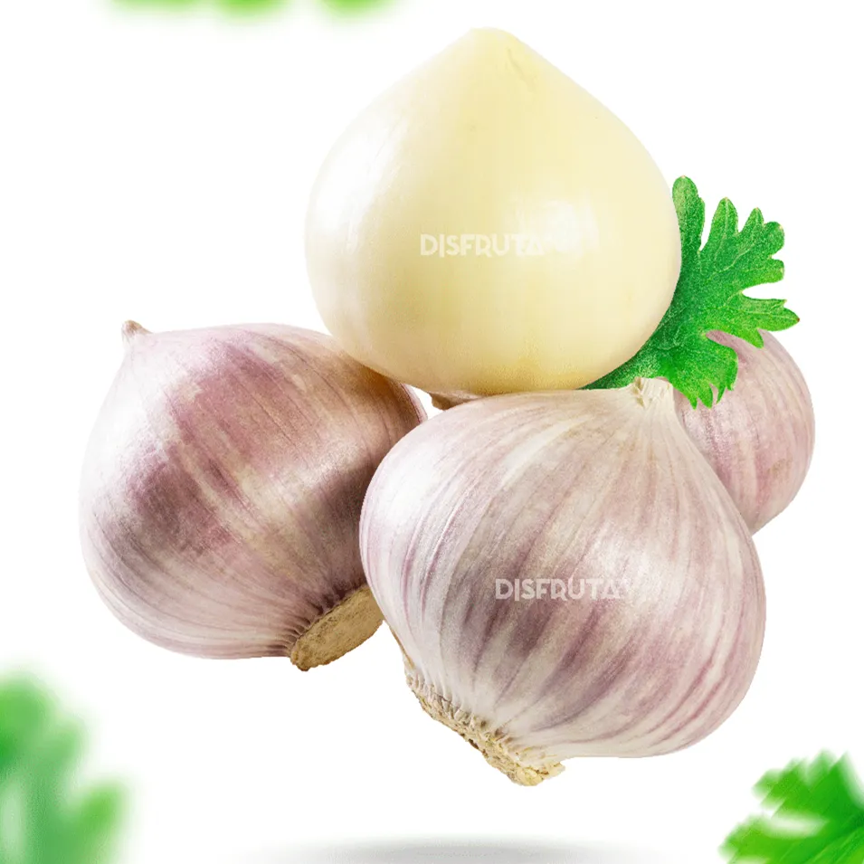 One Clove Garlic Disfruta™ 1.webp