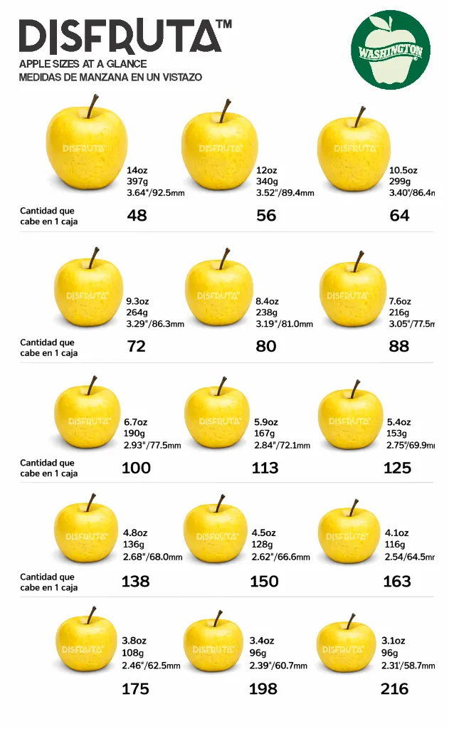 Apple Size Chart Disfruta™.webp