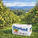 Flavorland BX Orchard Disfruta™.webp